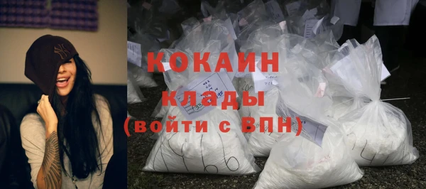 ешки Снежинск