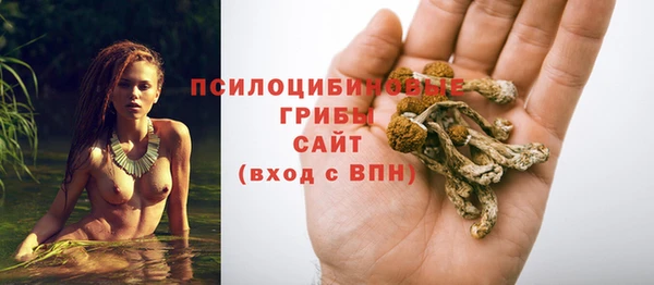 молекула духа Белокуриха