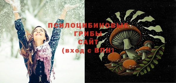 ешки Снежинск