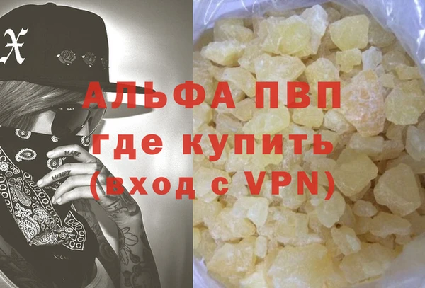 спайс Богданович