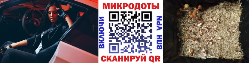 наркошоп  Котельники  Галлюциногенные грибы GOLDEN TEACHER 
